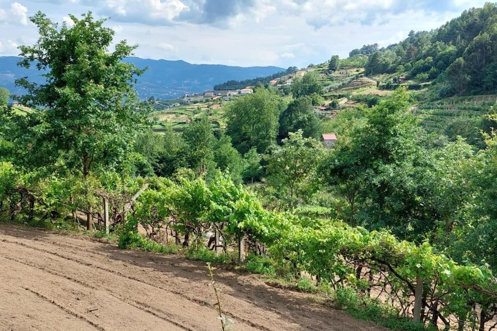 Quinta Dos Castros Douro Βίλα Baião Εξωτερικό φωτογραφία