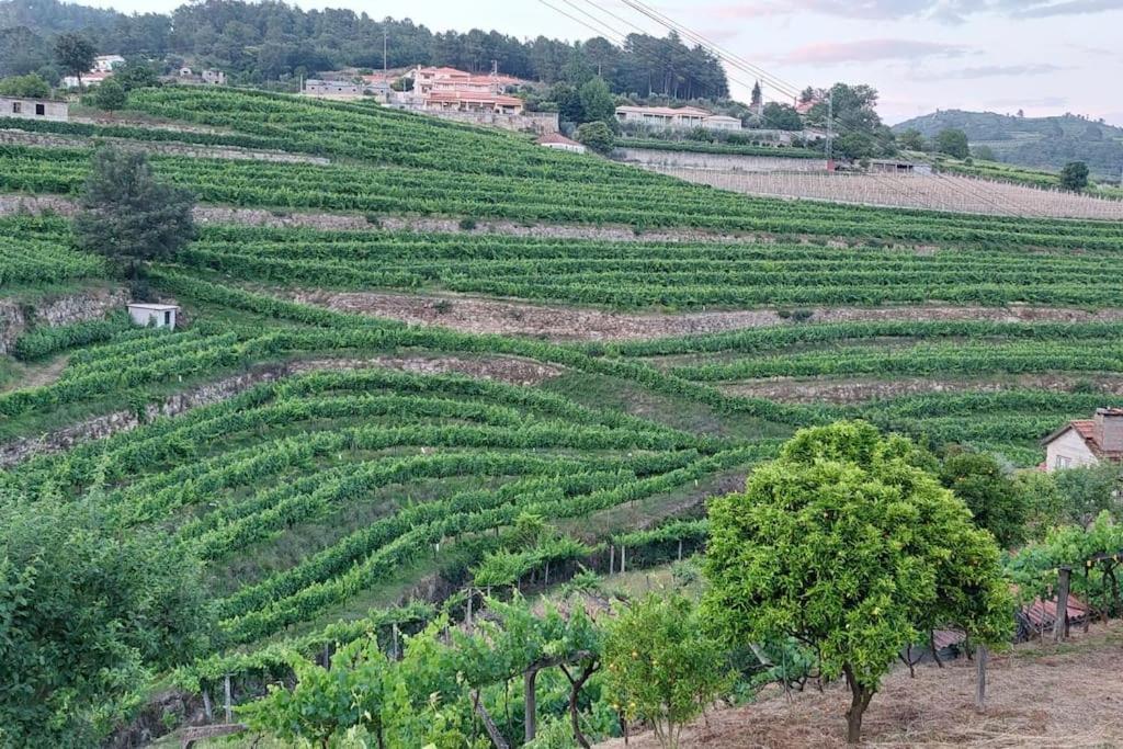Quinta Dos Castros Douro Βίλα Baião Εξωτερικό φωτογραφία