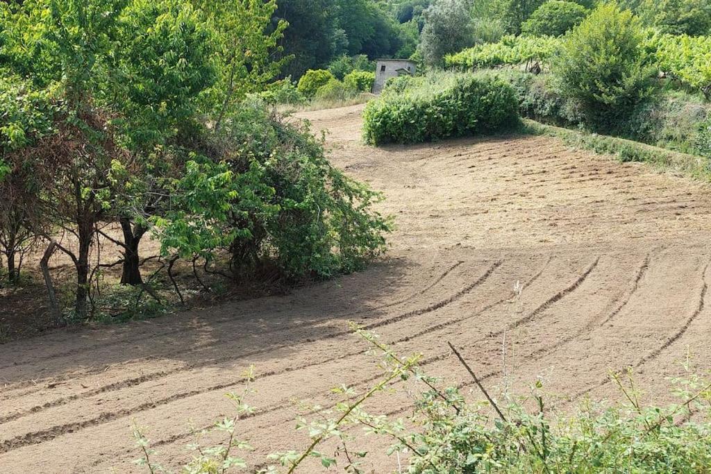 Quinta Dos Castros Douro Βίλα Baião Εξωτερικό φωτογραφία