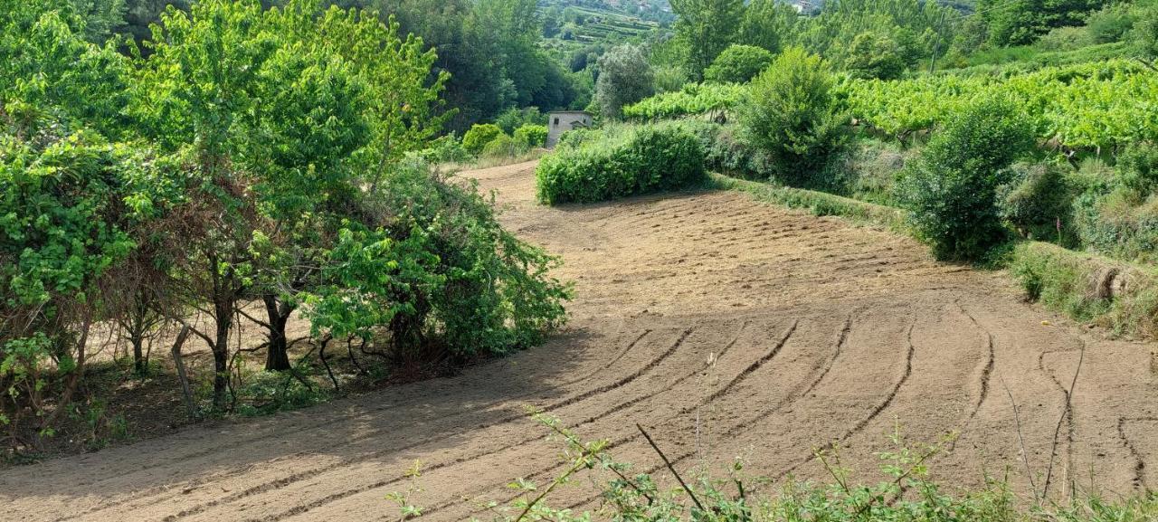 Quinta Dos Castros Douro Βίλα Baião Εξωτερικό φωτογραφία