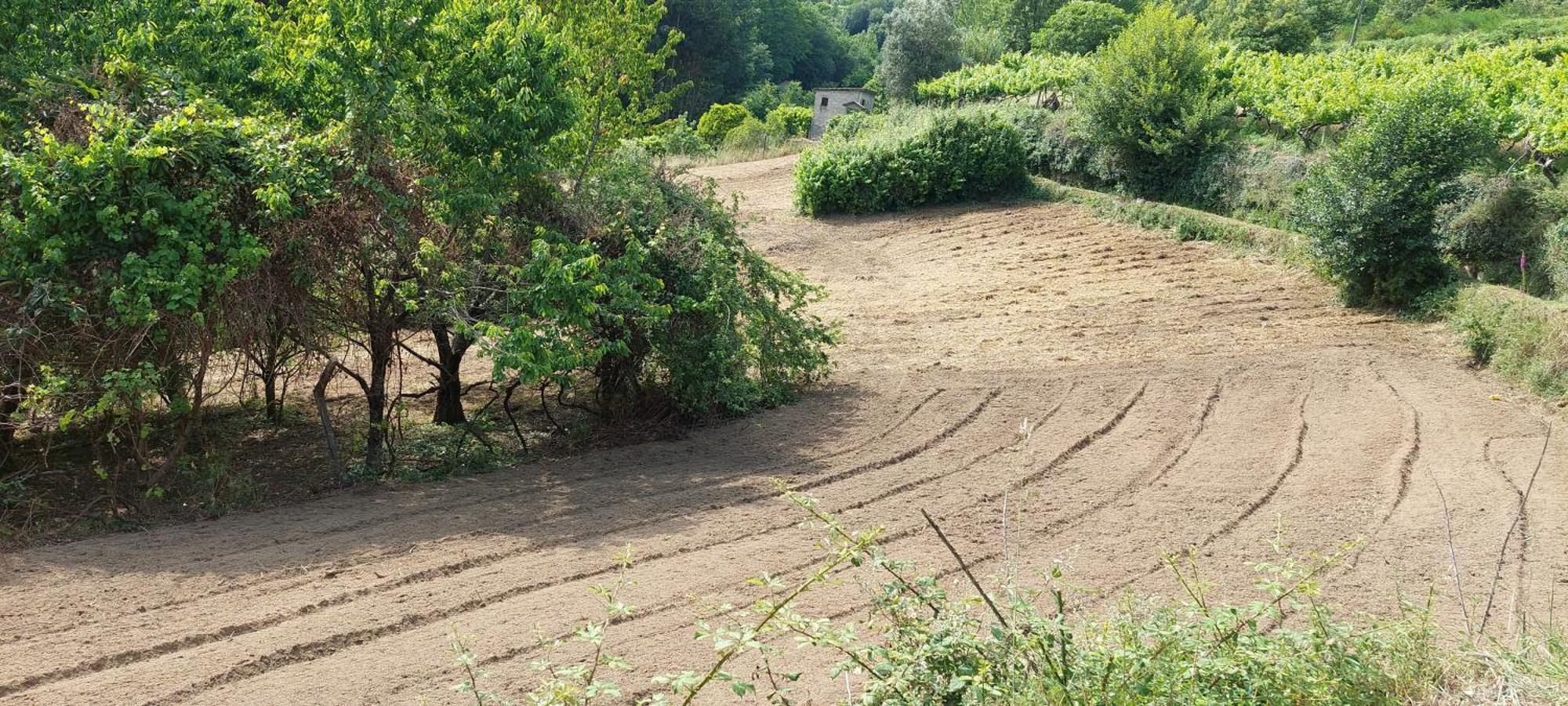 Quinta Dos Castros Douro Βίλα Baião Εξωτερικό φωτογραφία