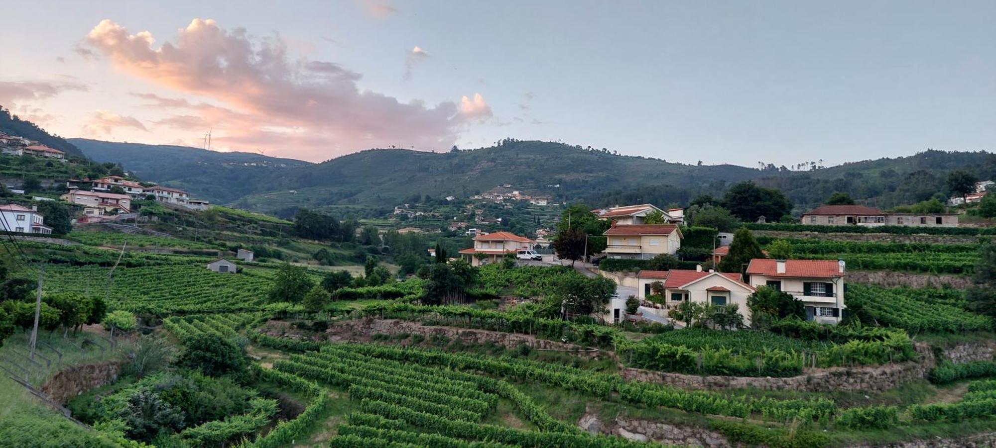 Quinta Dos Castros Douro Βίλα Baião Εξωτερικό φωτογραφία