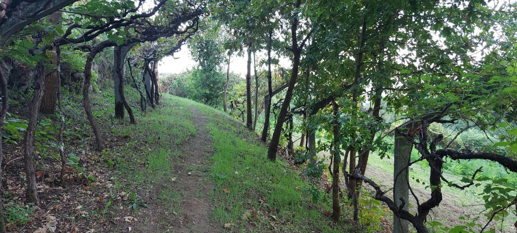 Quinta Dos Castros Douro Βίλα Baião Εξωτερικό φωτογραφία