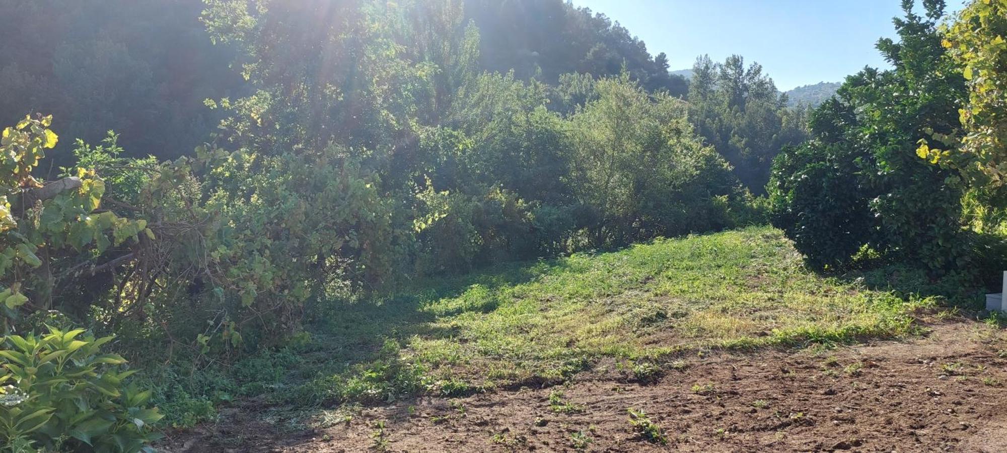 Quinta Dos Castros Douro Βίλα Baião Εξωτερικό φωτογραφία