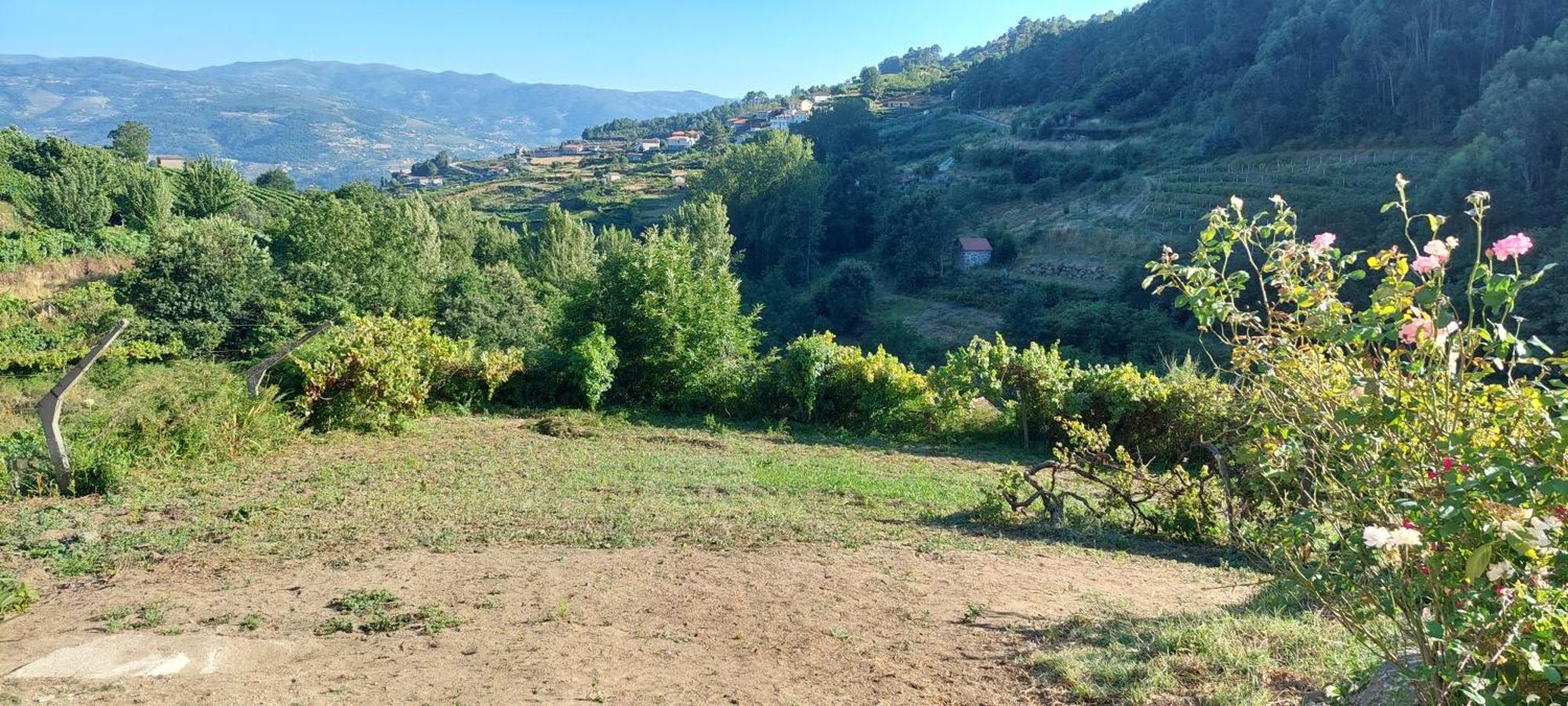 Quinta Dos Castros Douro Βίλα Baião Εξωτερικό φωτογραφία