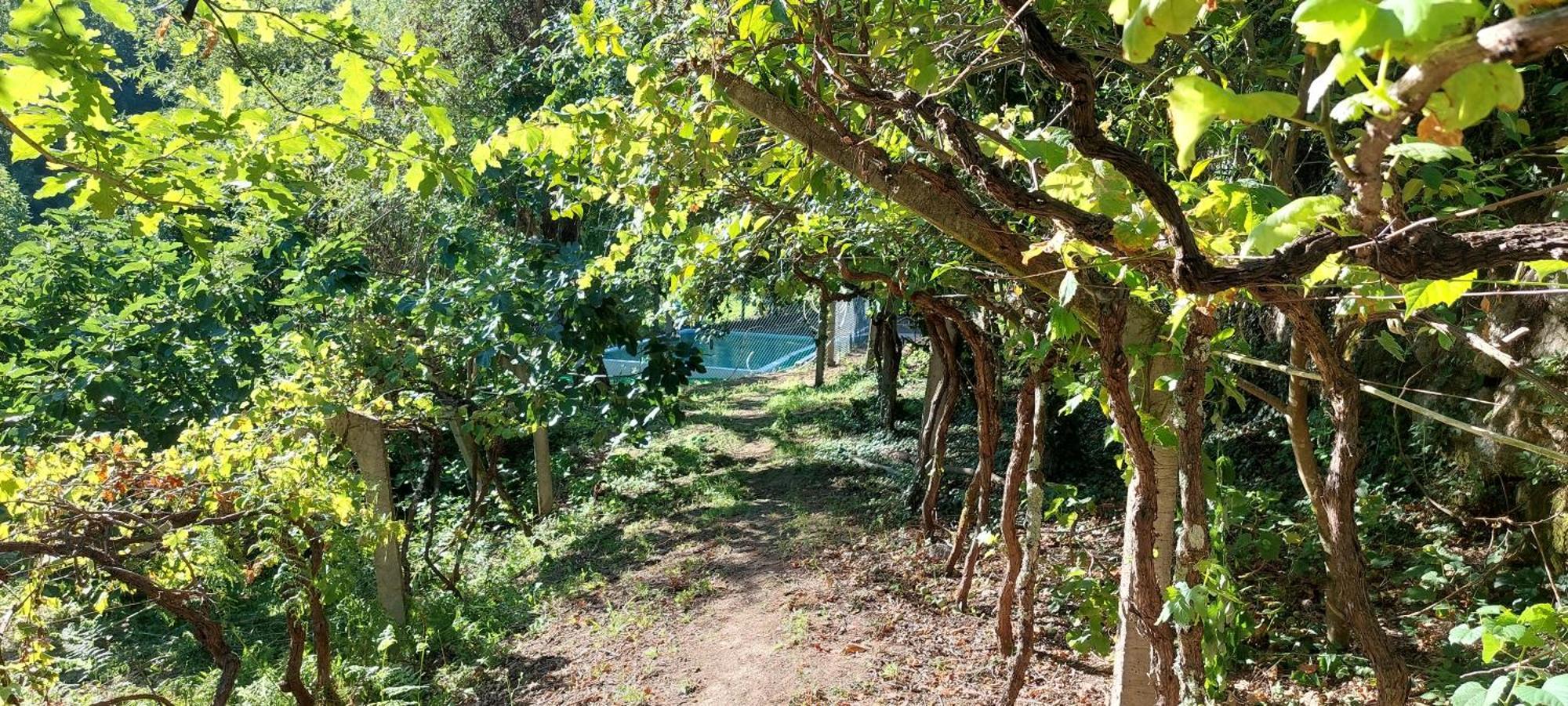 Quinta Dos Castros Douro Βίλα Baião Εξωτερικό φωτογραφία