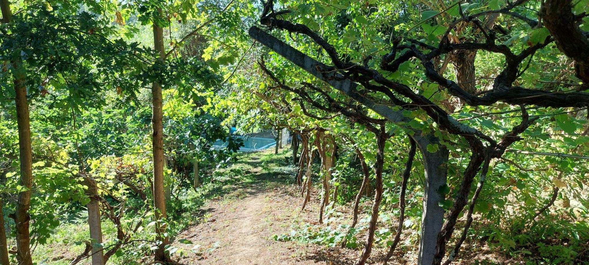 Quinta Dos Castros Douro Βίλα Baião Εξωτερικό φωτογραφία