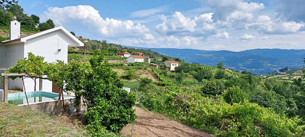 Quinta Dos Castros Douro Βίλα Baião Εξωτερικό φωτογραφία