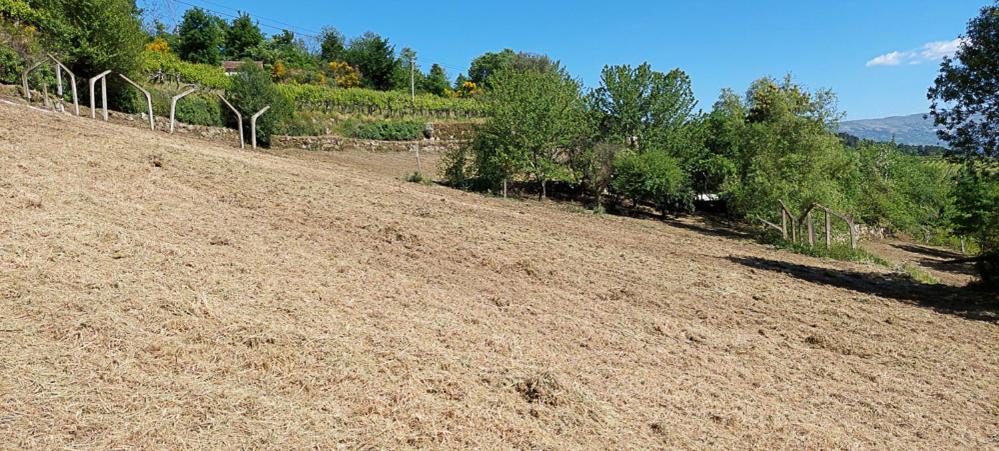 Quinta Dos Castros Douro Βίλα Baião Εξωτερικό φωτογραφία