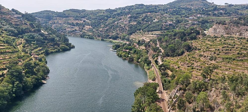 Quinta Dos Castros Douro Βίλα Baião Εξωτερικό φωτογραφία