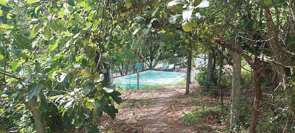 Quinta Dos Castros Douro Βίλα Baião Εξωτερικό φωτογραφία
