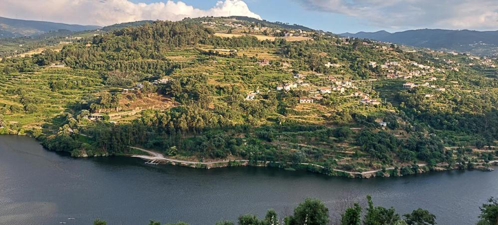 Quinta Dos Castros Douro Βίλα Baião Εξωτερικό φωτογραφία