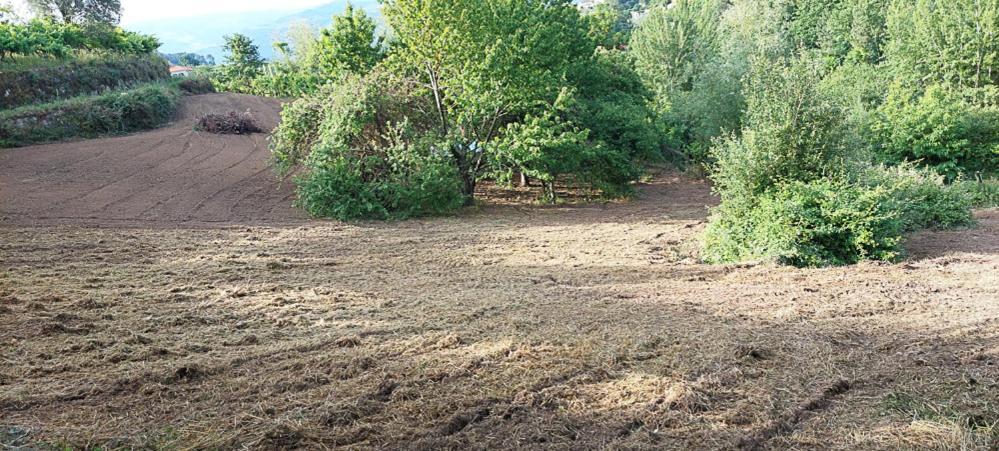 Quinta Dos Castros Douro Βίλα Baião Εξωτερικό φωτογραφία