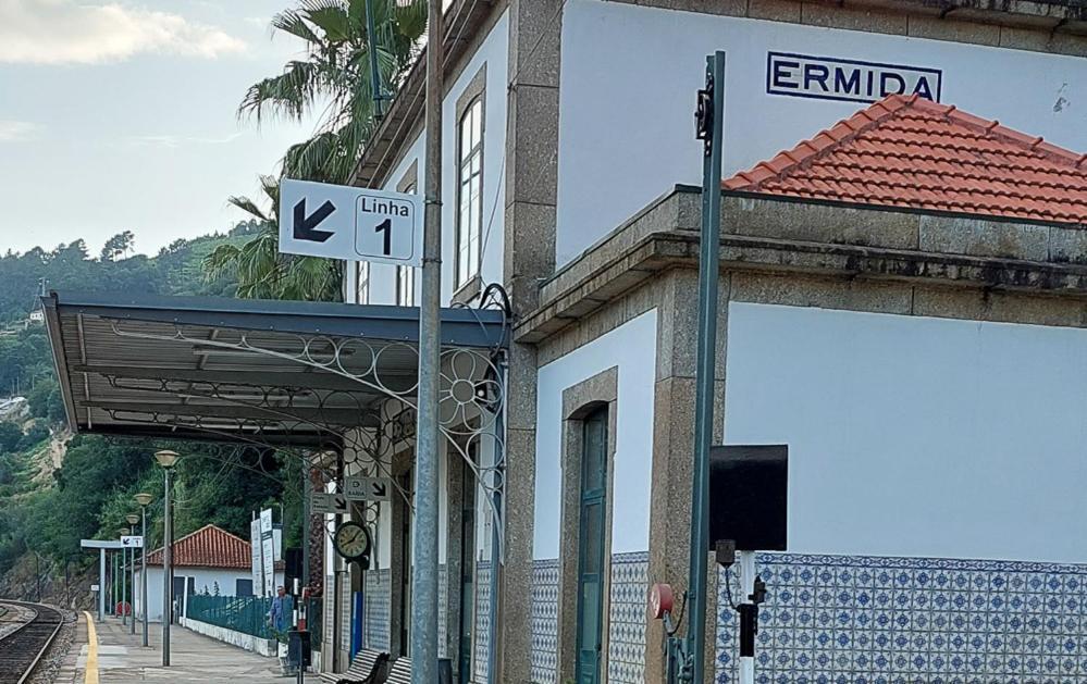 Quinta Dos Castros Douro Βίλα Baião Εξωτερικό φωτογραφία
