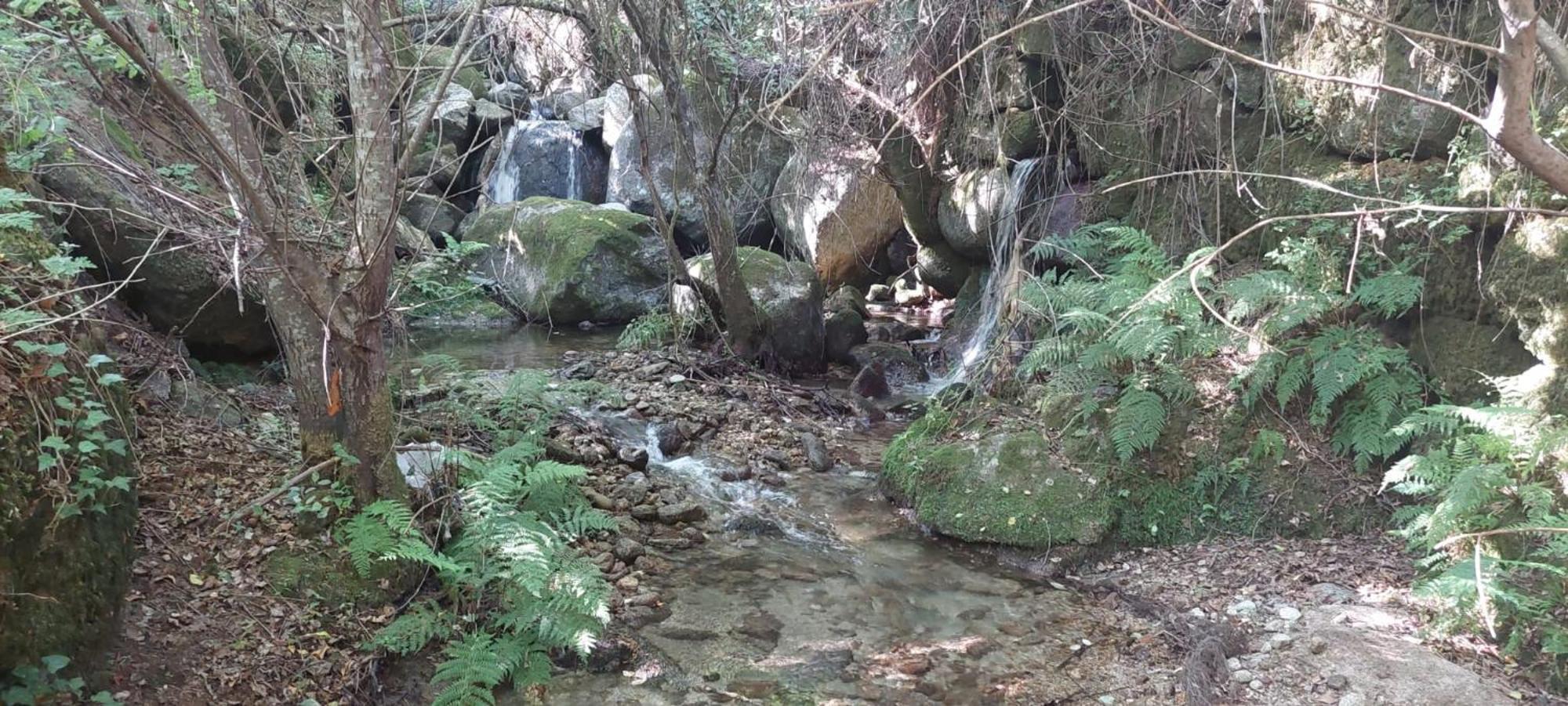 Quinta Dos Castros Douro Βίλα Baião Εξωτερικό φωτογραφία
