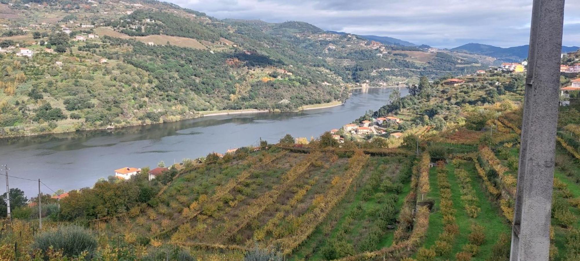 Quinta Dos Castros Douro Βίλα Baião Εξωτερικό φωτογραφία
