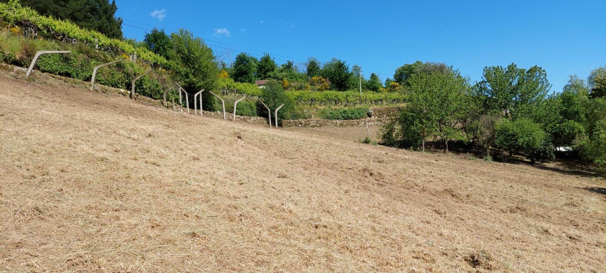 Quinta Dos Castros Douro Βίλα Baião Εξωτερικό φωτογραφία