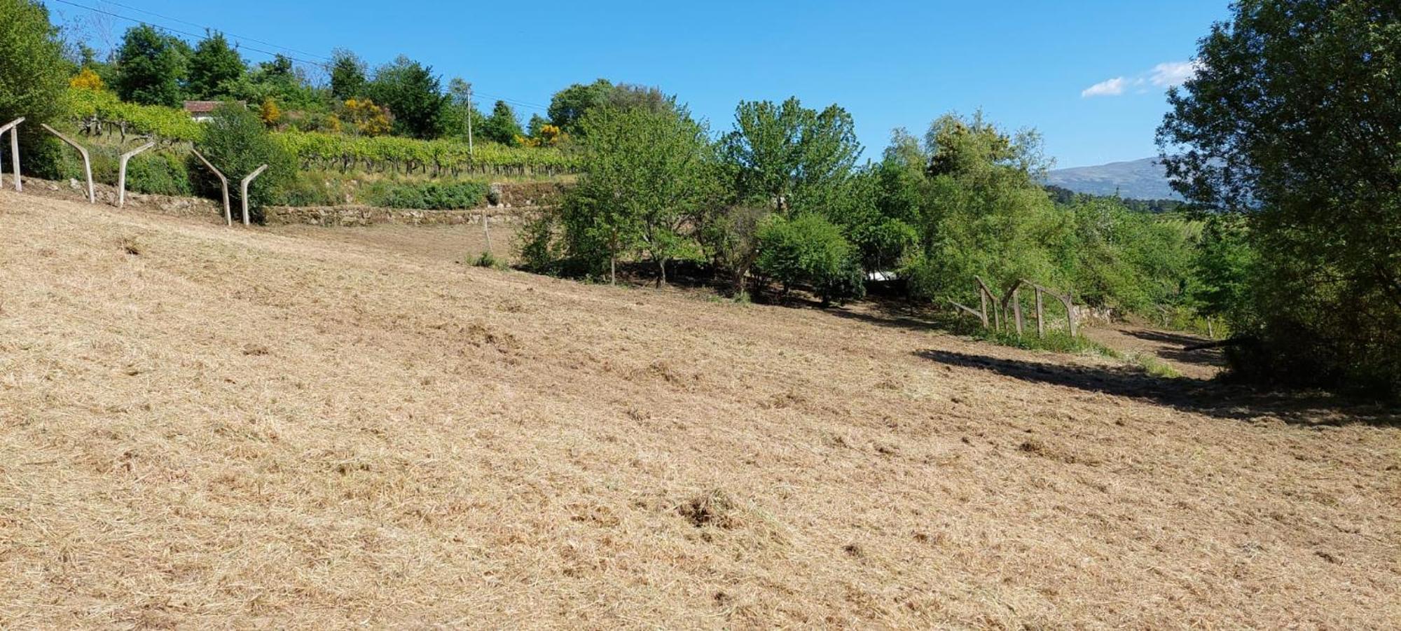 Quinta Dos Castros Douro Βίλα Baião Εξωτερικό φωτογραφία
