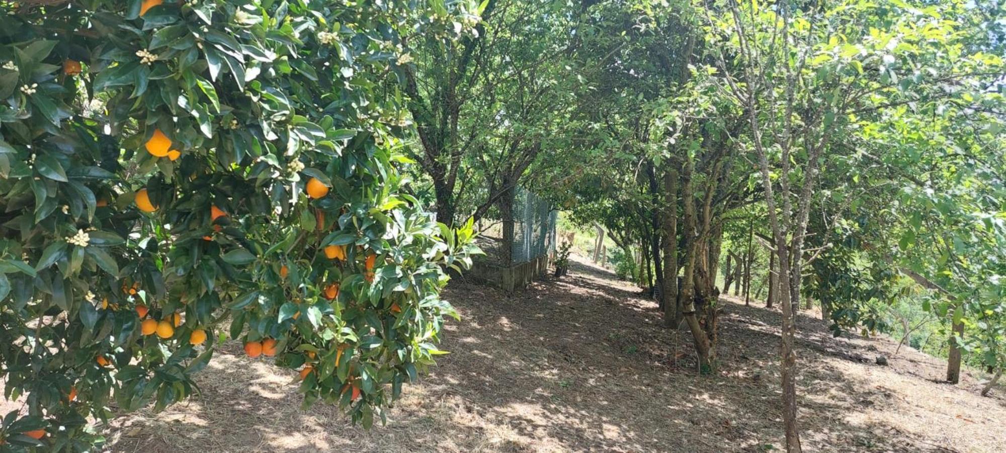 Quinta Dos Castros Douro Βίλα Baião Εξωτερικό φωτογραφία
